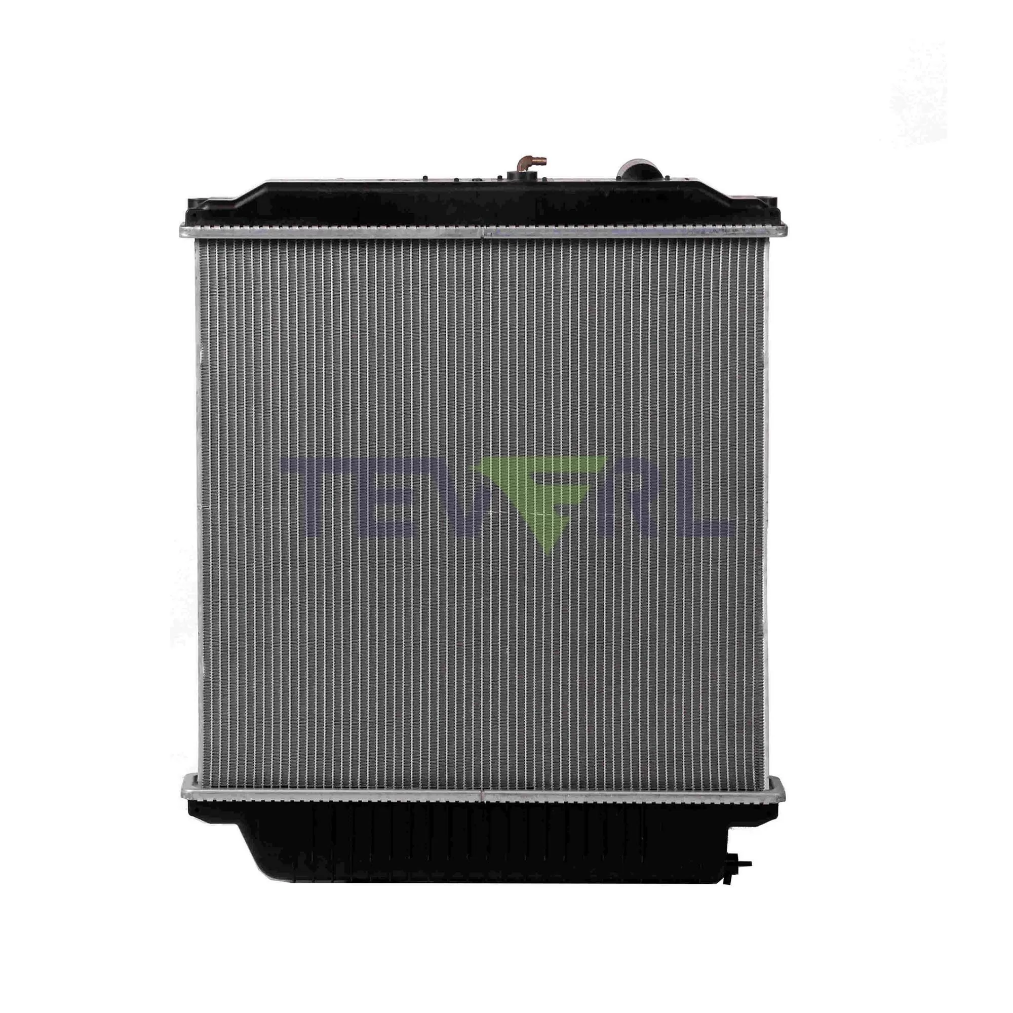 10101069 Bluebird Radiator