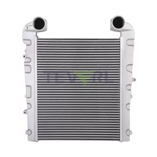 10602009 International Charge Air Cooler