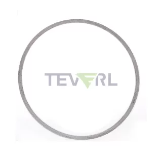 30106008 Cummins International DPF Gasket