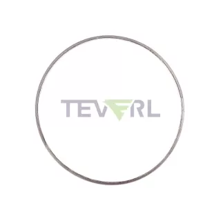 30106011 Detroit DPF Gasket