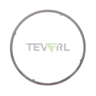 30106012 Detroit DPF Gasket