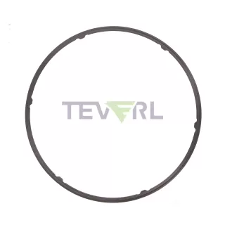 30106029 Caterpillar Gasket