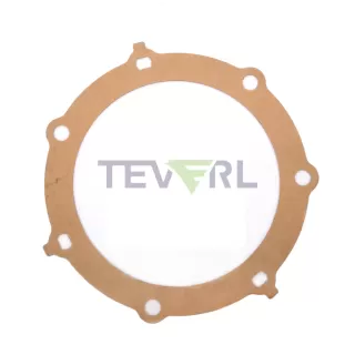 30106031 Ford Gasket