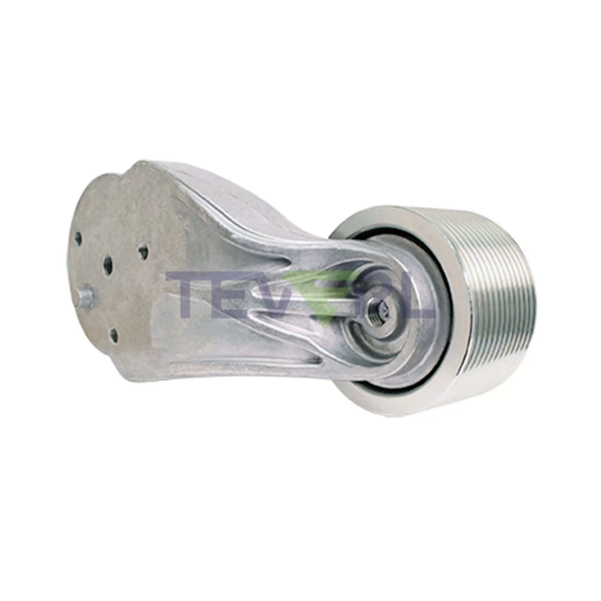 30121005 Idler/Tensioner Pulley 89823