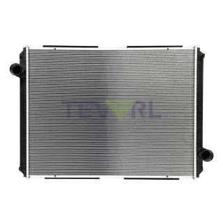 10601002 International Radiator