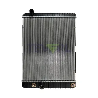 10601022 INTERNATIONAL RADIATOR