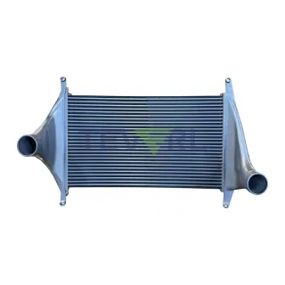 10102029 Freightliner Charge Air Cooler